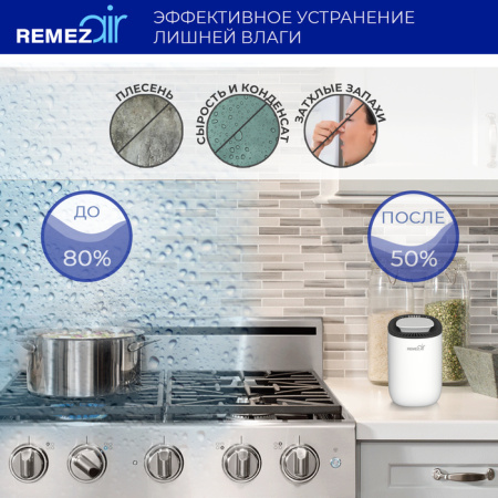 Бытовой осушитель воздуха REMEZair RMD-303